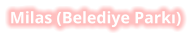 Milas (Belediye Parkı)